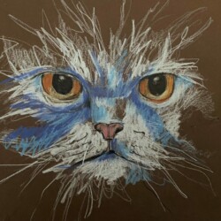 weiße Katze