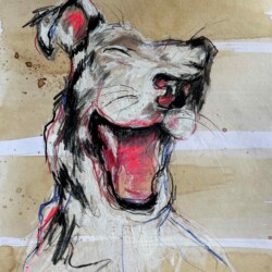 lachender Hund