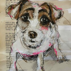 Hund