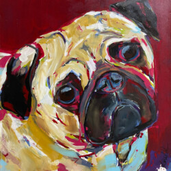 Mops