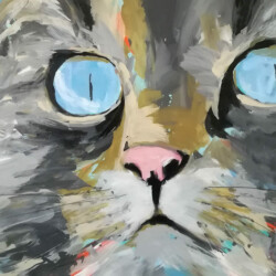 Perserkatze