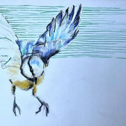 Vogel im Landeanflug